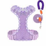 Dog Harness with 6.6-Ft Leash