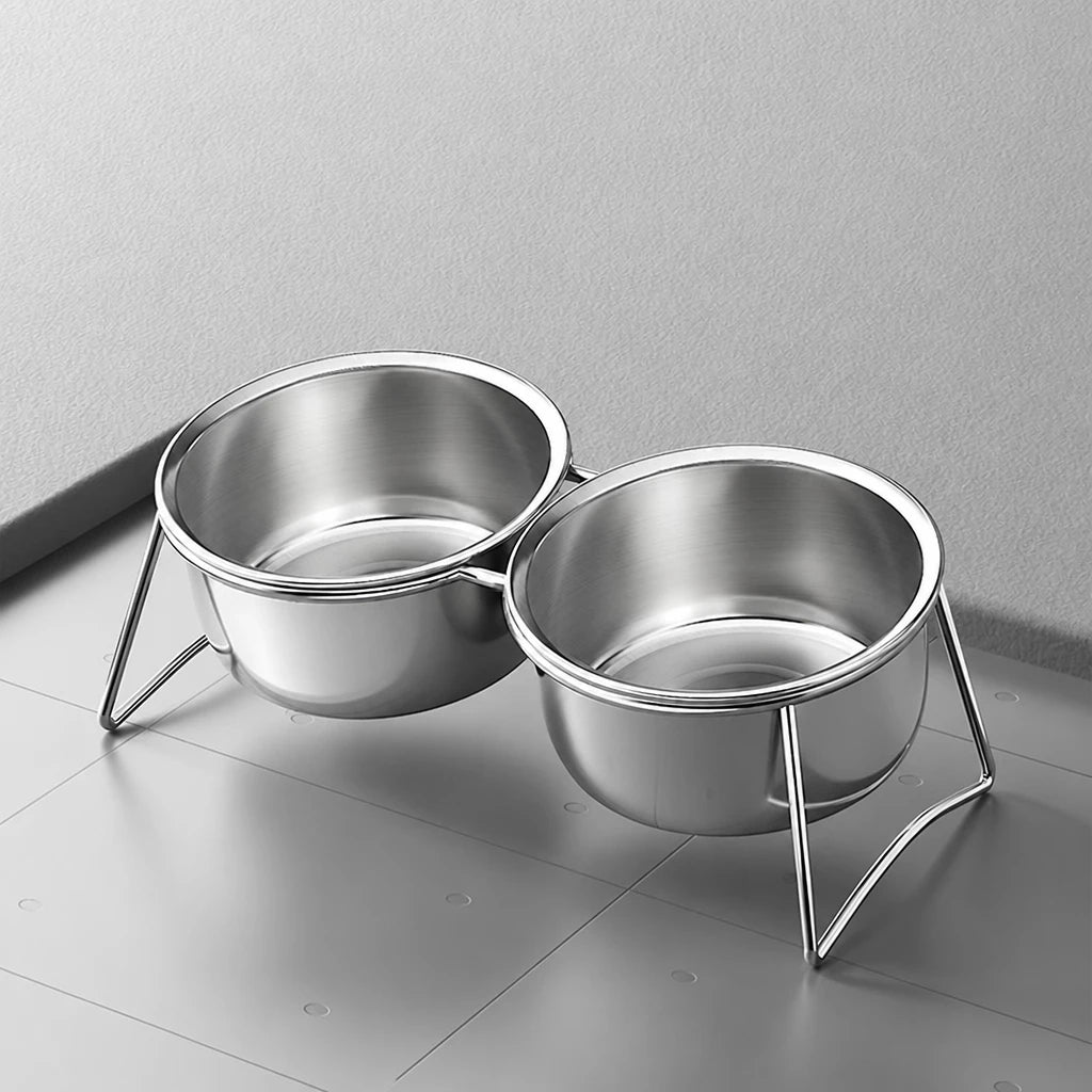 Stainless Steel Double Pet Bowls with Elevated Stand