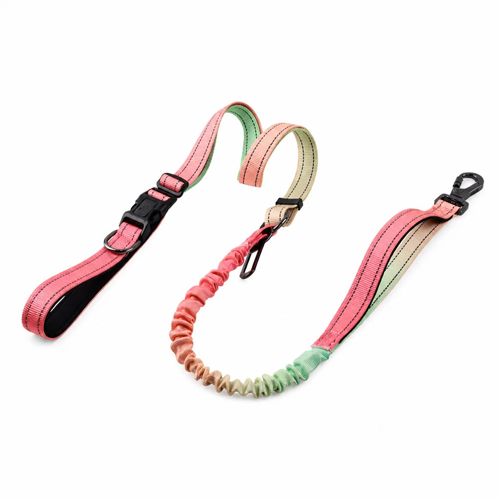 Crossbody Elastic Dog Leash