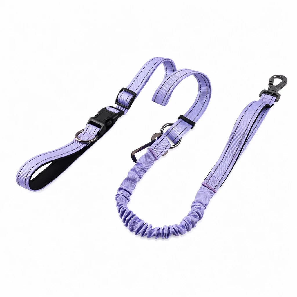 Crossbody Elastic Dog Leash