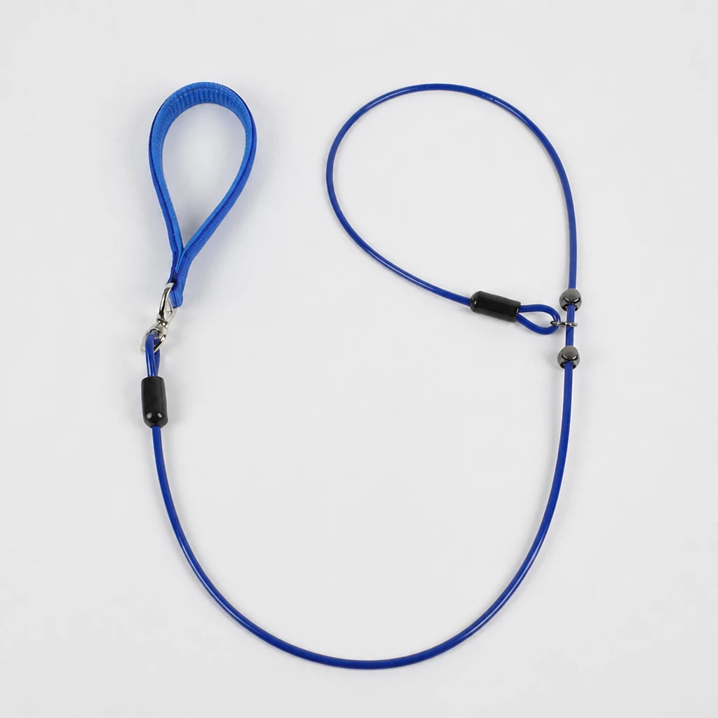 Steel Wire Dog Training Leash