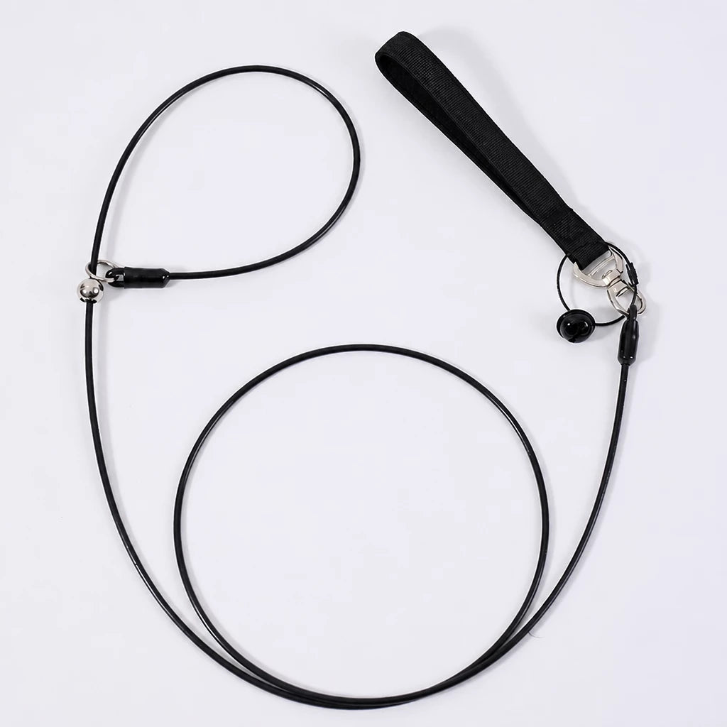 Steel Wire Dog Training Leash