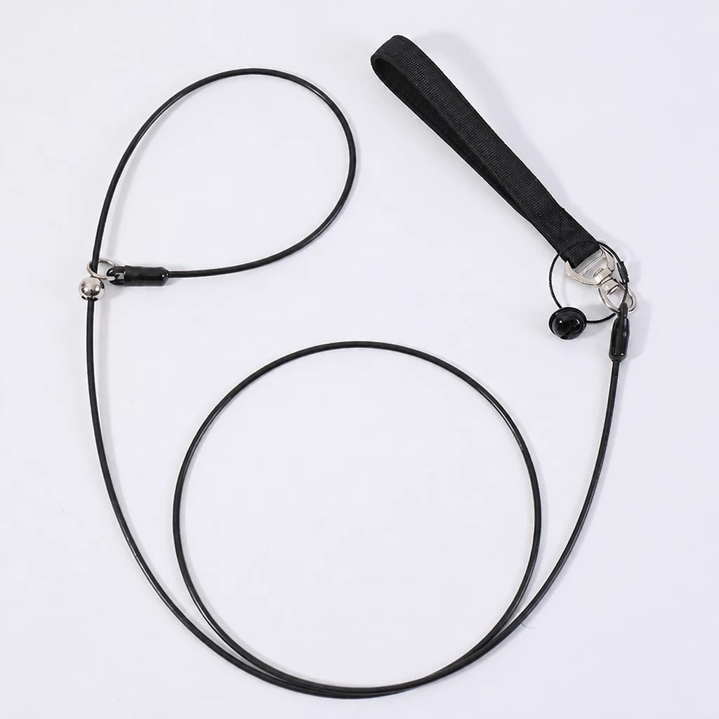 Steel Wire Dog Training Leash