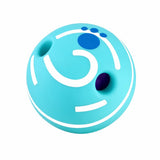 Interactive Squeaky Ball Dog Toy