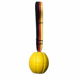 Floating Rope Ball Dog Toy for Medium and Large Dogs