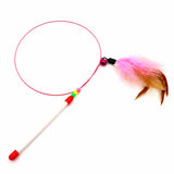 Steel Wire Cat Teaser Wand with Feather and Bell