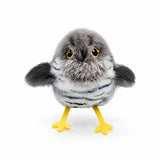 Automatic Flying Bird Cat Toy with Fluttering Wings