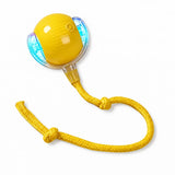 Interactive Cat Toy Ball