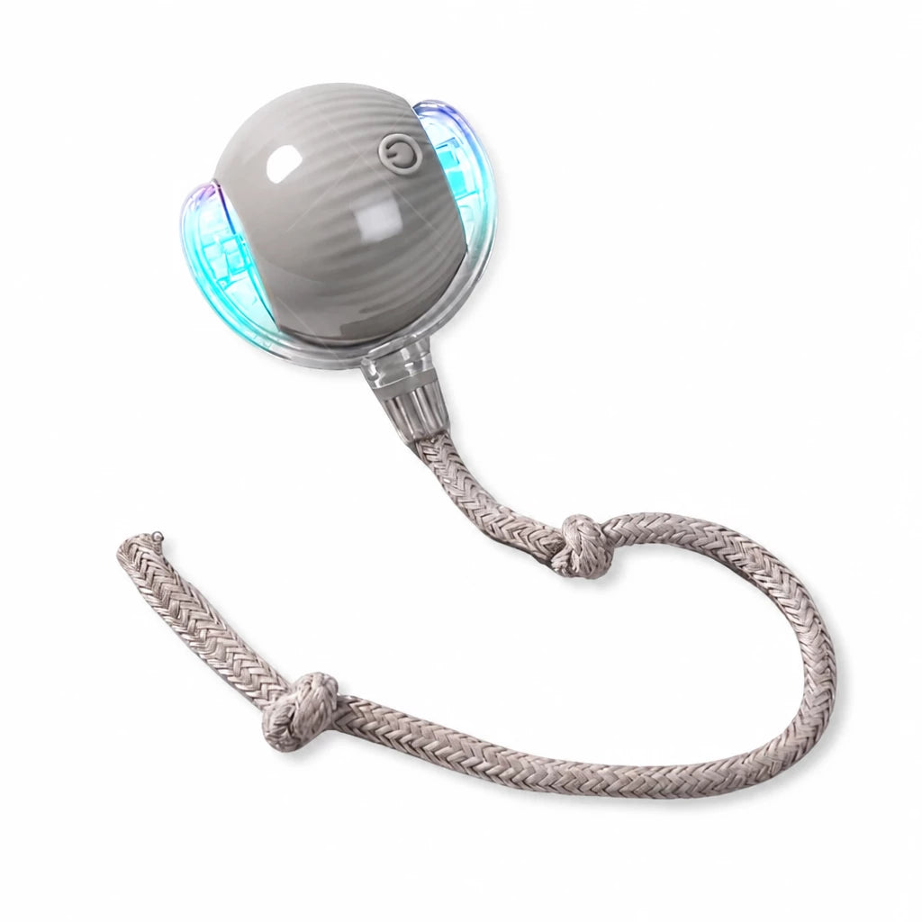 Interactive Cat Toy Ball