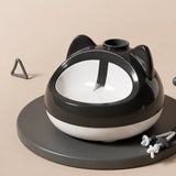 Automatic Pet Water Dispenser
