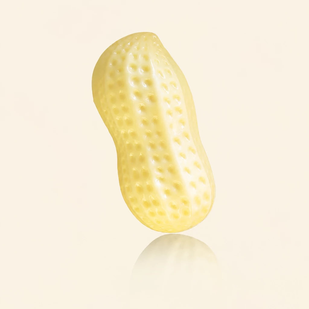 Squeaky Peanut-Shaped Dog Toy