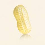 Squeaky Peanut-Shaped Dog Toy