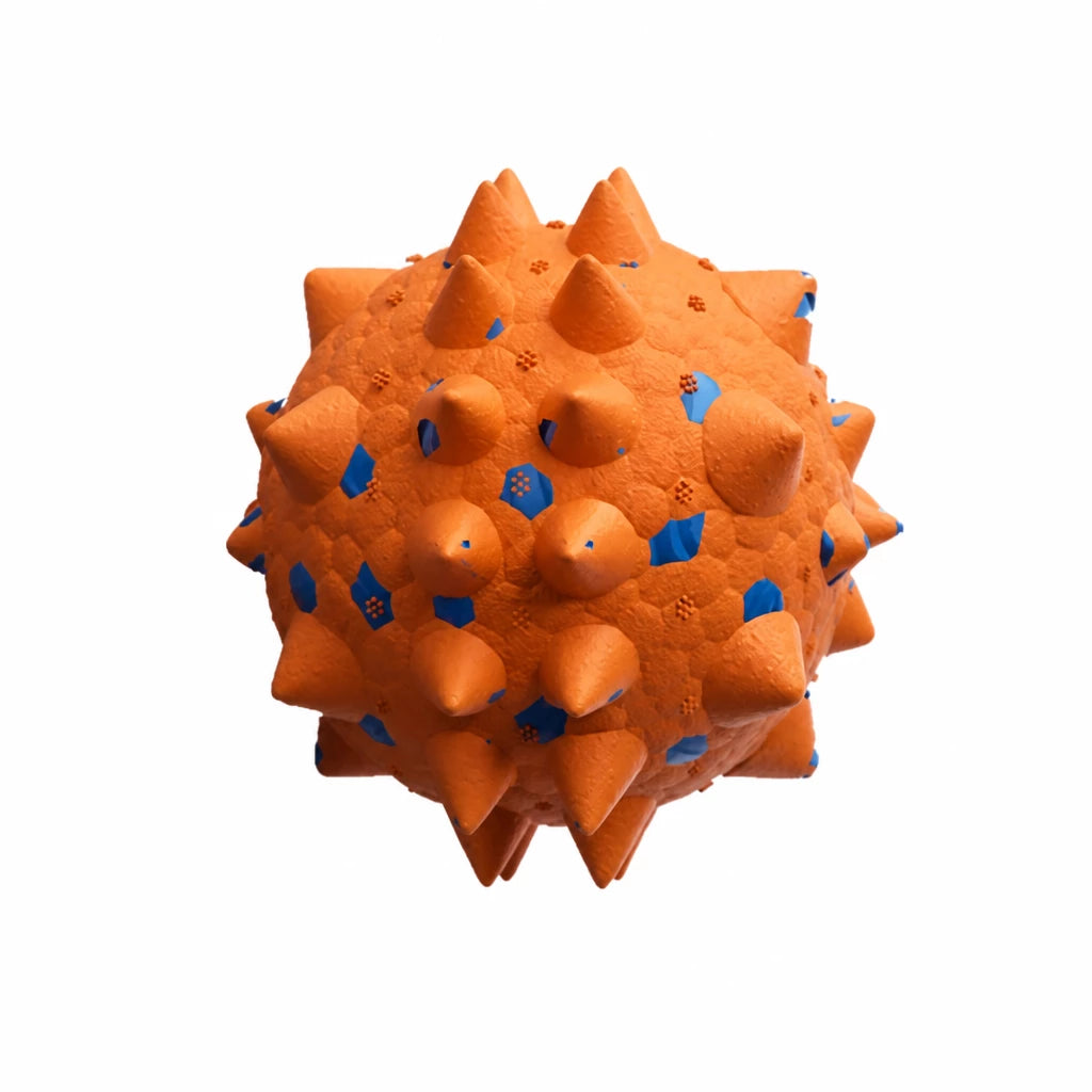 Sea Urchin Ball Dog Toy