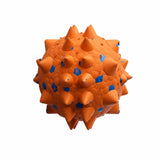 Sea Urchin Ball Dog Toy