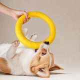 Silicone Dog Ring Toy for Fetch and Tug Play