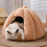 Enclosed Tent Bed for Cats and Small Dogs