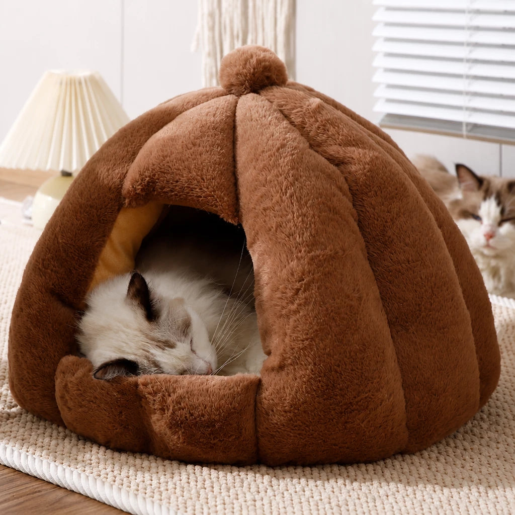 Enclosed Tent Bed for Cats and Small Dogs