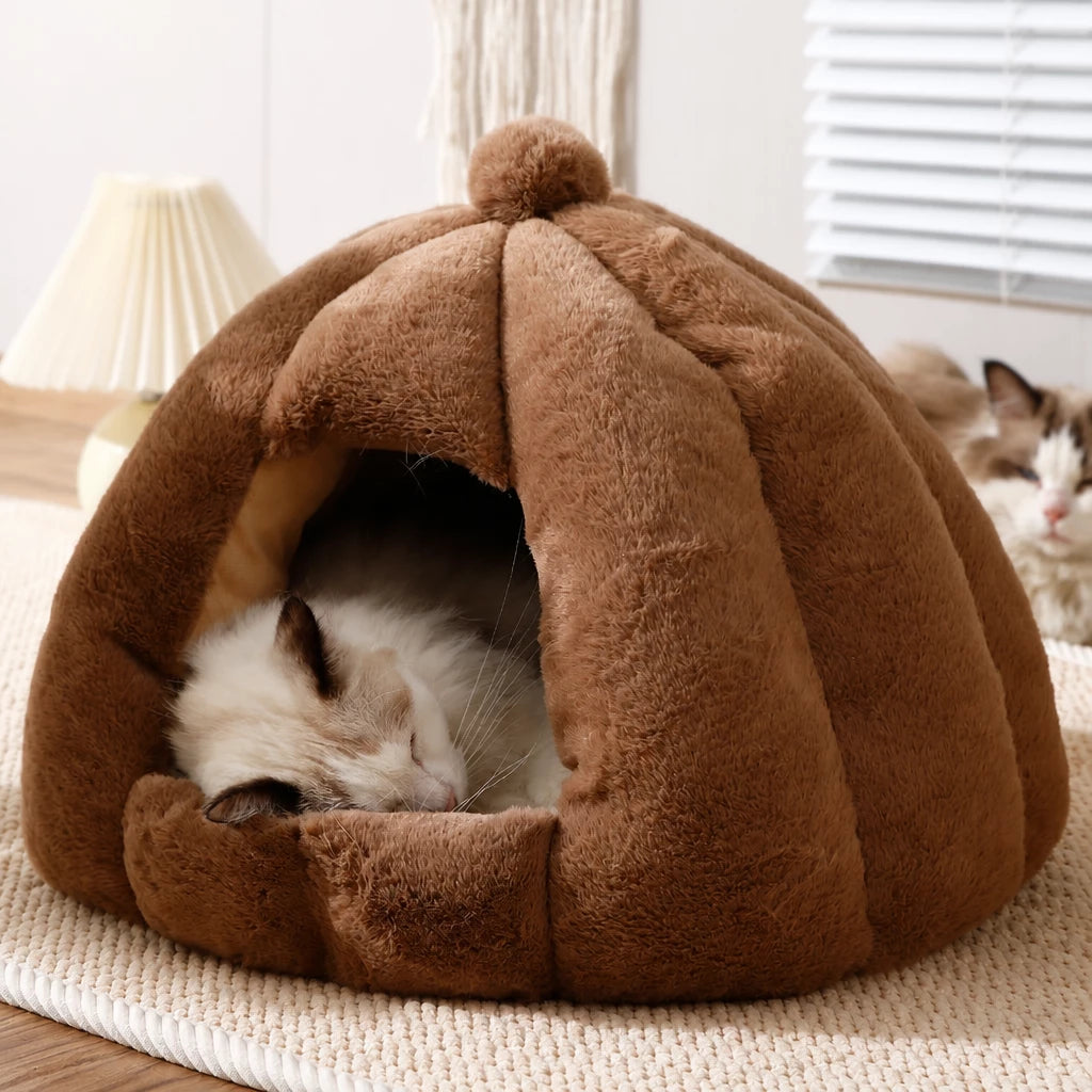 Enclosed Tent Bed for Cats and Small Dogs