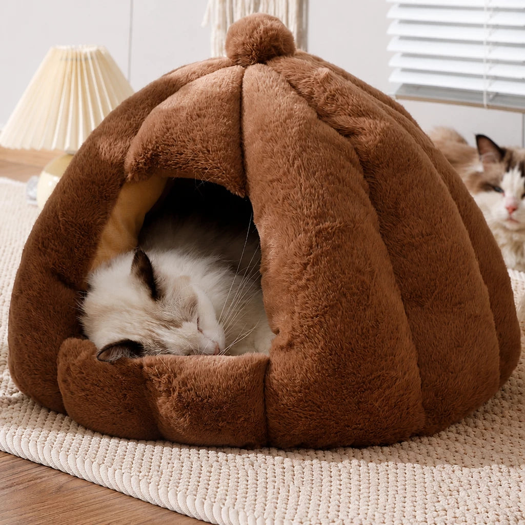 Enclosed Tent Bed for Cats and Small Dogs