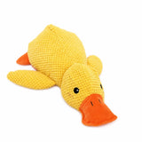 Plush Squeaky Dog Toys