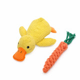 Plush Squeaky Dog Toys