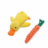 Plush Squeaky Dog Toys