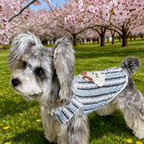 Lightweight Dog Graphic Pet Shirt for Cats and Dogs