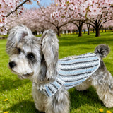 Lightweight Dog Graphic Pet Shirt for Cats and Dogs