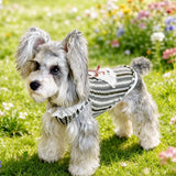 Lightweight Dog Graphic Pet Shirt for Cats and Dogs