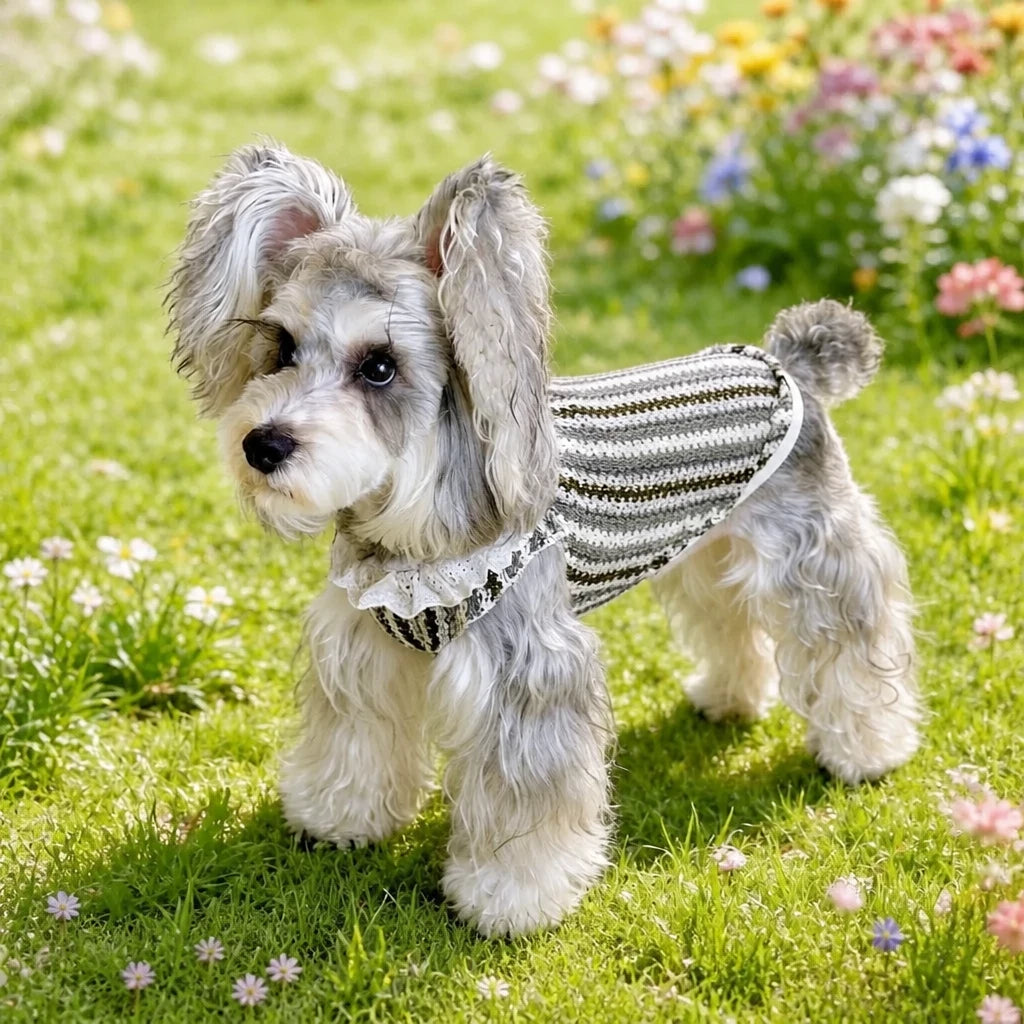 Lightweight Dog Graphic Pet Shirt for Cats and Dogs