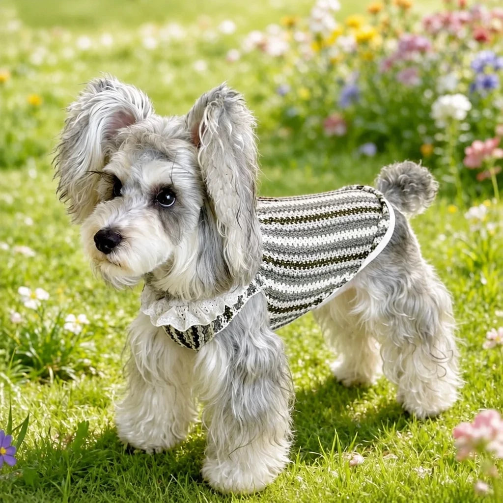 Lightweight Dog Graphic Pet Shirt for Cats and Dogs