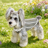 Lightweight Dog Graphic Pet Shirt for Cats and Dogs