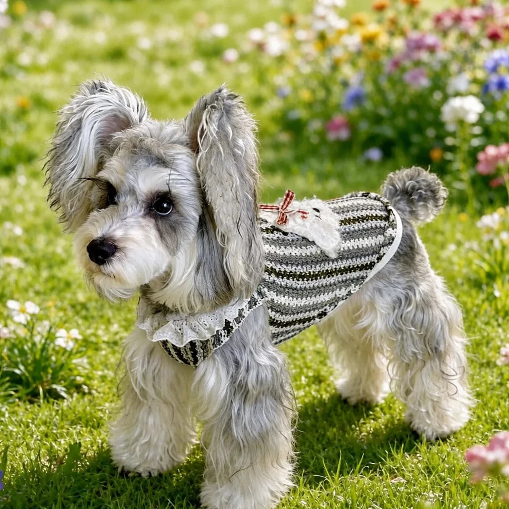 Lightweight Dog Graphic Pet Shirt for Cats and Dogs