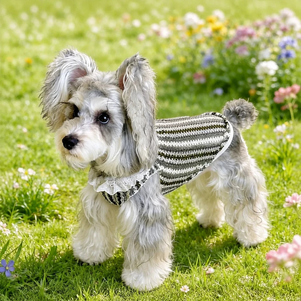 Lightweight Dog Graphic Pet Shirt for Cats and Dogs