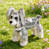 Lightweight Dog Graphic Pet Shirt for Cats and Dogs