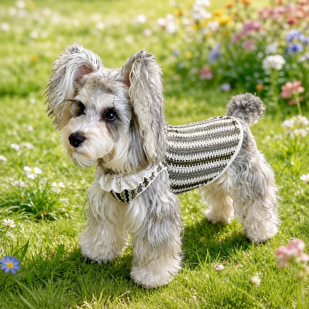 Lightweight Dog Graphic Pet Shirt for Cats and Dogs