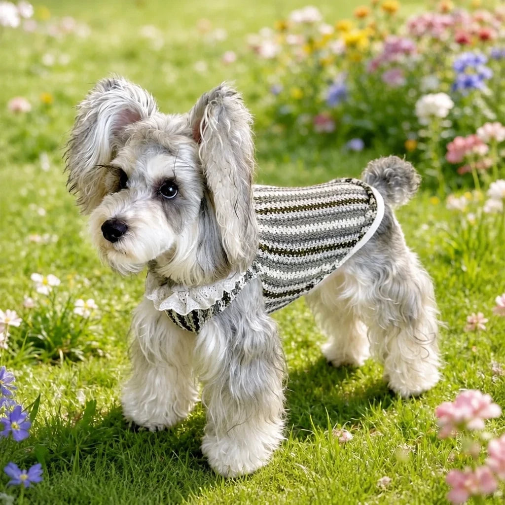 Lightweight Dog Graphic Pet Shirt for Cats and Dogs