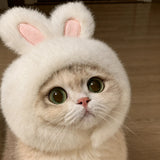 Character Pet Costume Hats for Cats and Dogs