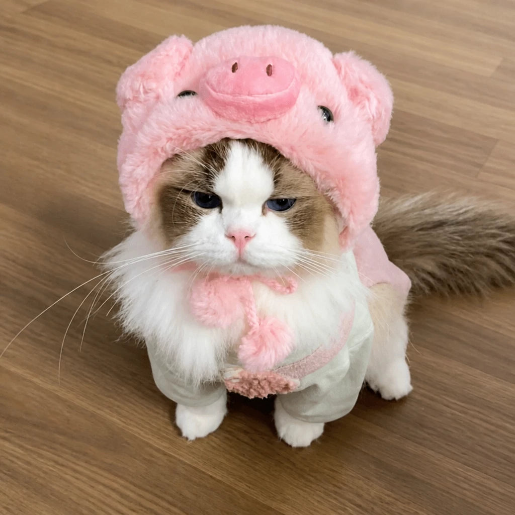 Character Pet Costume Hats for Cats and Dogs