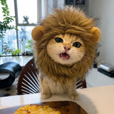 Character Pet Costume Hats for Cats and Dogs