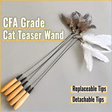 Detachable Feather Wand Cat Toy with Wooden Handle