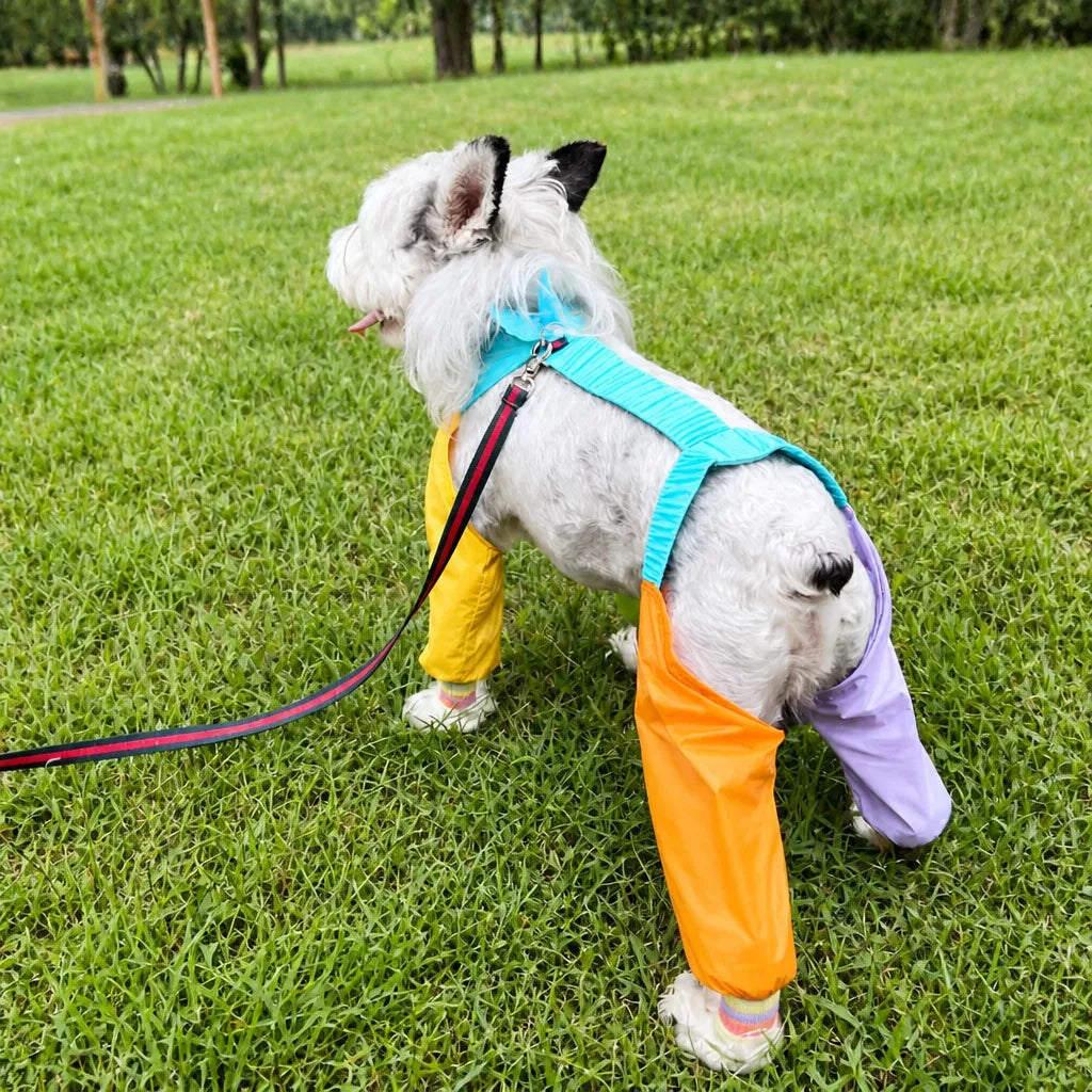 Four-Leg Dog Jumpsuit for Outdoor Wear
