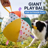 Giant Interactive Fetch & Tug Toy Ball for Medium and Large Dogs