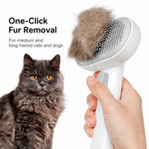 Dual-Sided Dog & Cat Grooming Brush for Deshedding and Detangling
