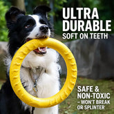 Interactive Dog Toys for Tug, Fetch & Chew Play