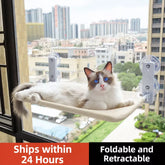 Cat Window Hammock with Suction Cup Mount