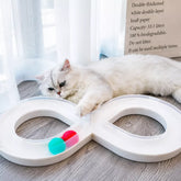 Figure-Eight Track Ball Toy for Cats