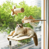 Window-Mounted Cat Perch with Space Pod