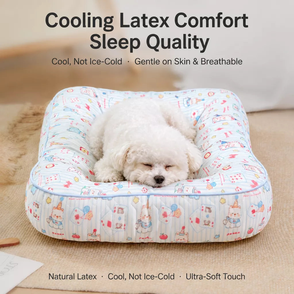 Washable Small Dog Bed
