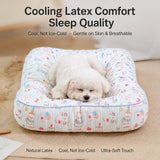 Washable Small Dog Bed